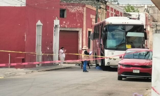 Atropellado en su bicicleta en Motul; no sobrevivió