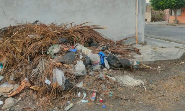 Mano más dura en Mérida contra los que tiren basura en vía pública