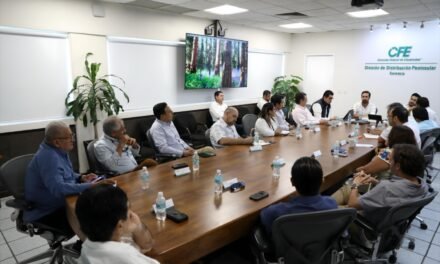 Apagones eléctricos: arrancan mesas de CFE y gobierno de Yucatán