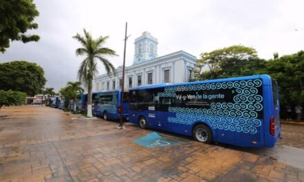 Freno al Va y Ven: sin pagos, concesionarios anuncian recortes masivos