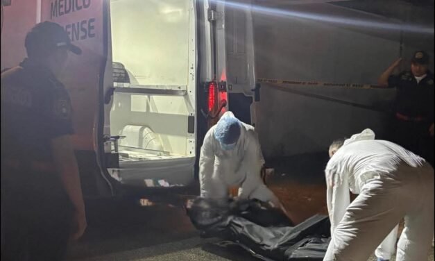 Atrapado en incendio pereció en casa de Ciudad Caucel; perritos salvados