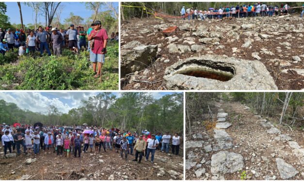 Ecocidio en Ucú: Talan tres mil hectáreas para Tren Maya de carga
