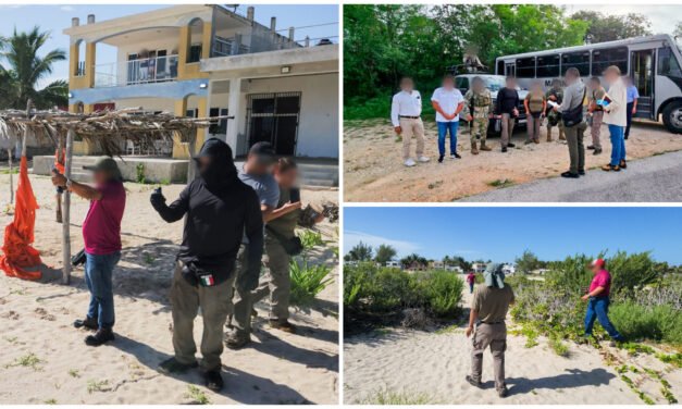 Aparece más desmonte de dunas en puerto de Sisal