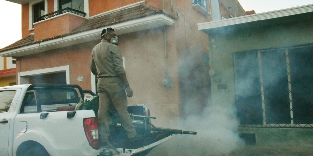 Pocas lluvias, menos dengue: Los datos oficiales