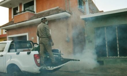 Pocas lluvias, menos dengue: Los datos oficiales