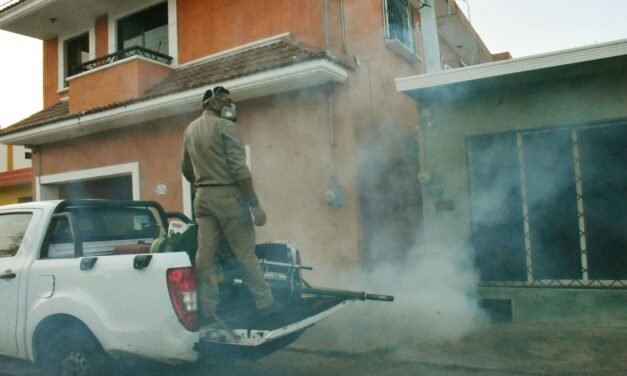 Pocas lluvias, menos dengue: Los datos oficiales