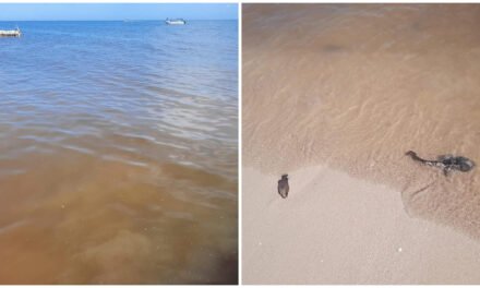 Avanza marea roja frente a Progreso Yucatán