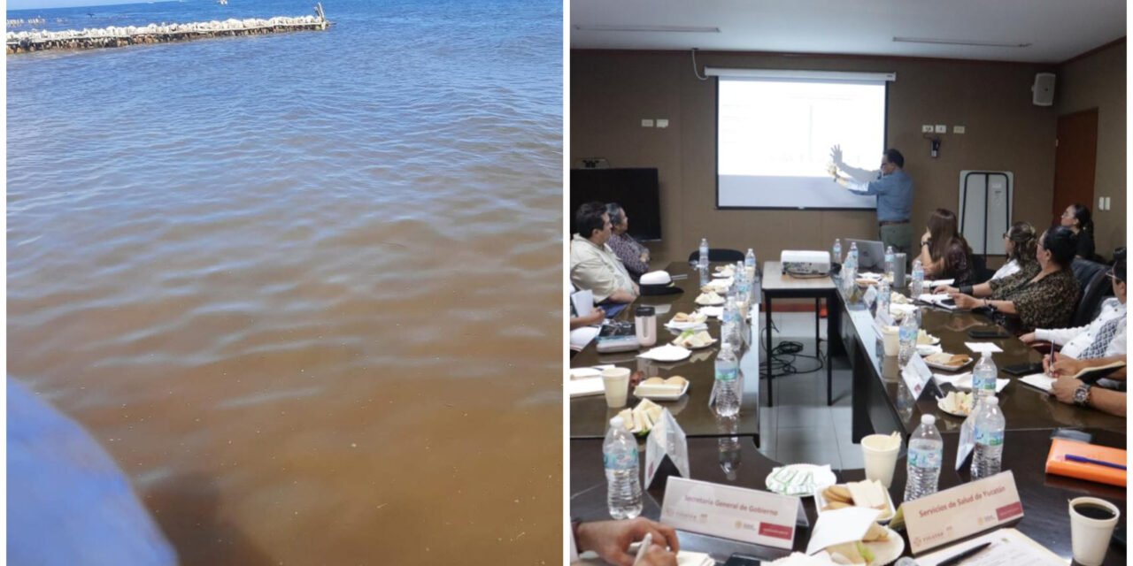Florecimiento algal nocivo en costa de Yucatán, sin riesgo para población