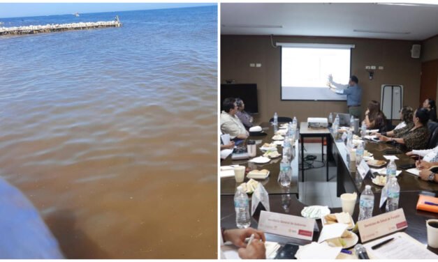 Florecimiento algal nocivo en costa de Yucatán, sin riesgo para población