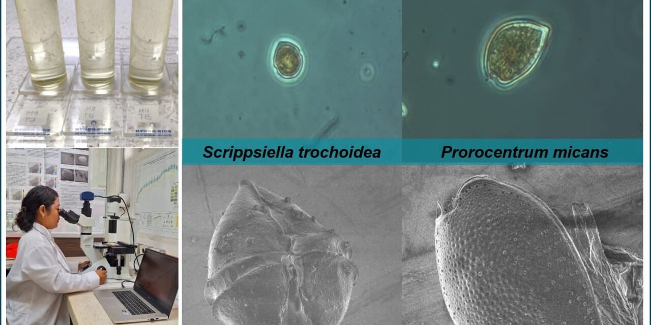 ‘Si hay FAN, hay marea roja’, insisten investigadores