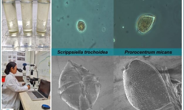‘Si hay FAN, hay marea roja’, insisten investigadores