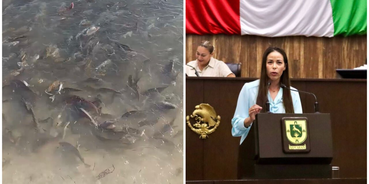 Ven tardanza en declaratoria de marea roja