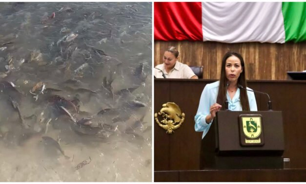 Ven tardanza en declaratoria de marea roja