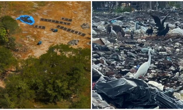 Daños por basura en Celestún se repiten en Río Lagartos