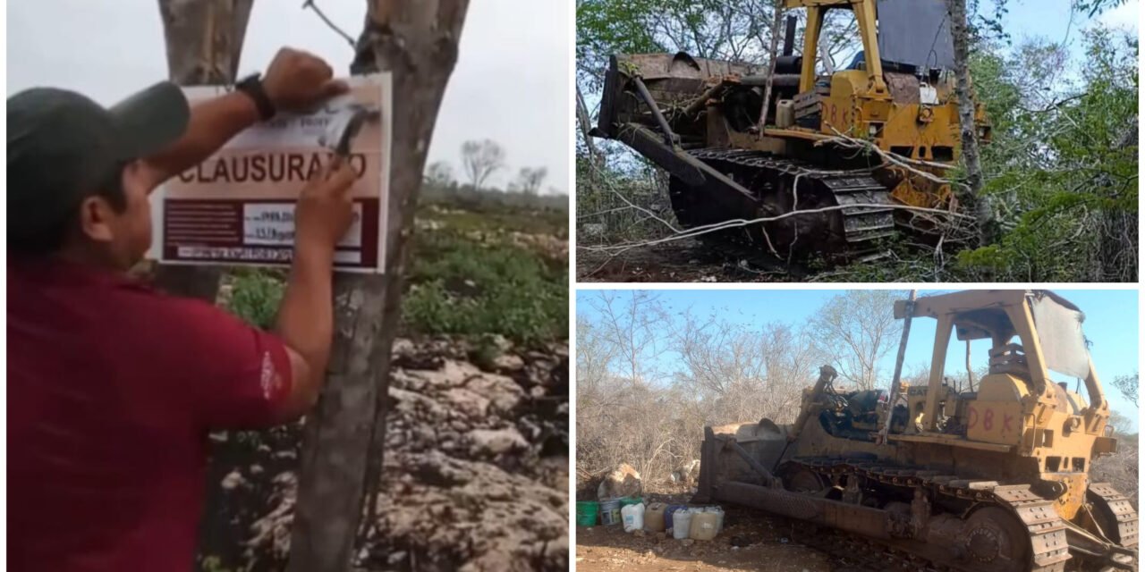 Clausura provisional a devastación de terrenos ejidales en Baca
