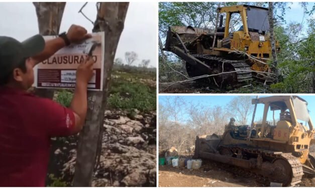 Clausura provisional a devastación de terrenos ejidales en Baca