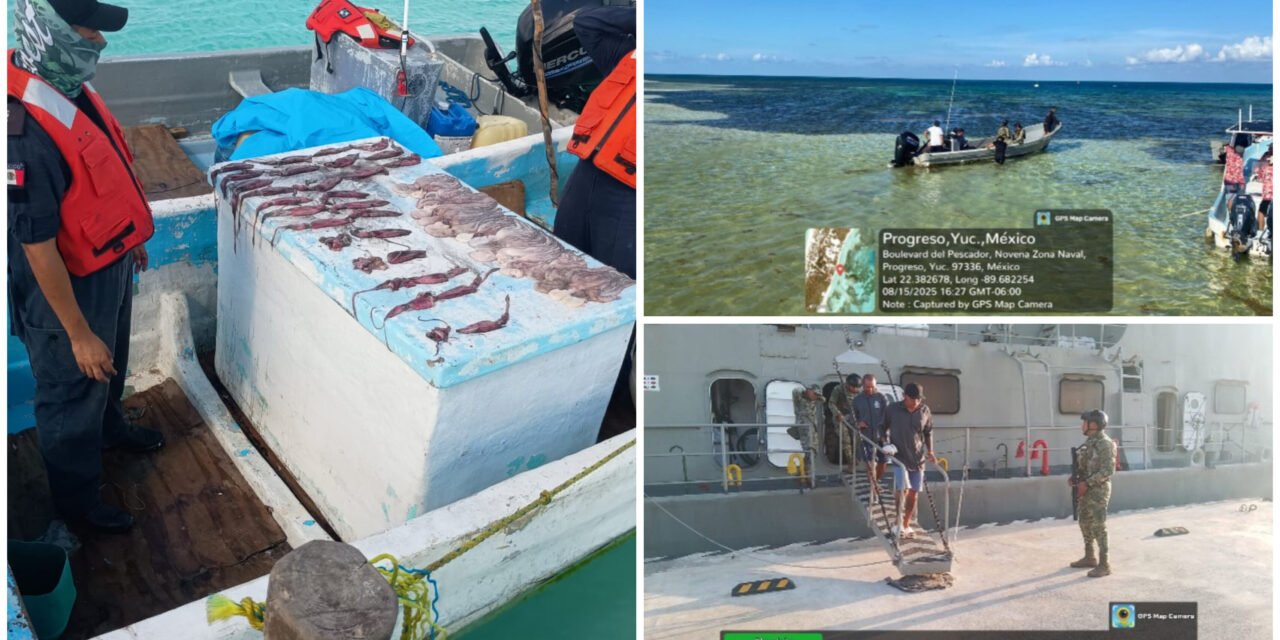 ‘Pillados’ otros pescadores con captura ilegal de especies