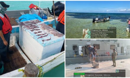 ‘Pillados’ otros pescadores con captura ilegal de especies