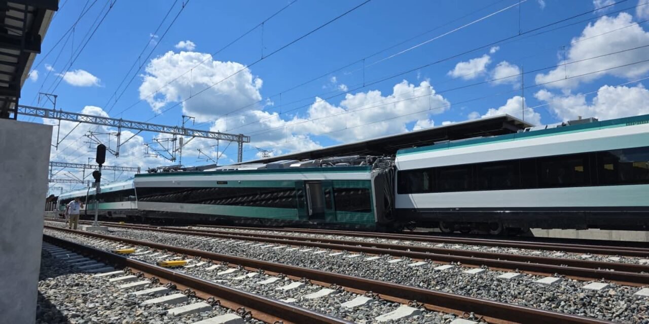 Alerta que no debe ser ignorada.- Greenpeace México sobre Tren Maya