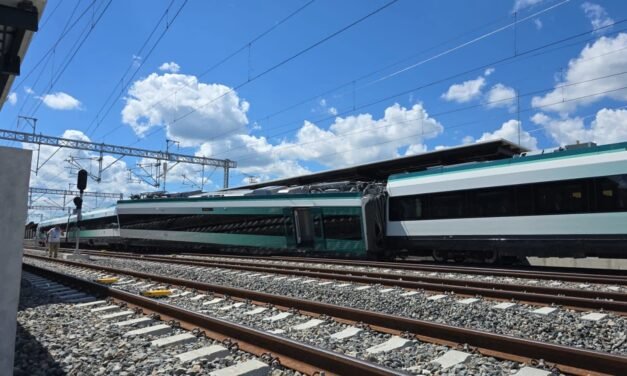 Alerta que no debe ser ignorada.- Greenpeace México sobre Tren Maya