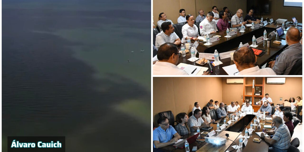 Delimitan Marea Roja entre puertos de Progreso y Sisal