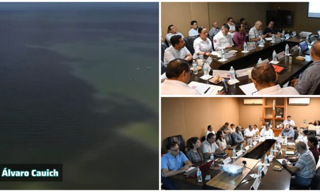 Delimitan Marea Roja entre puertos de Progreso y Sisal