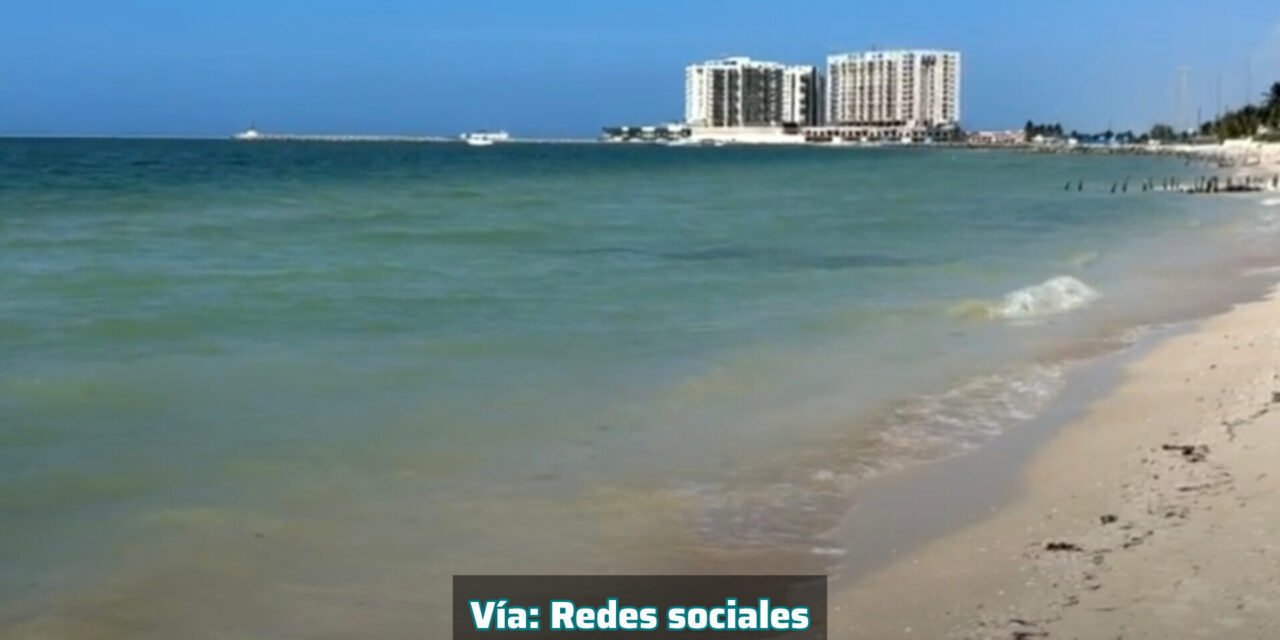 Indicios de que comienza a ceder concentración de marea roja