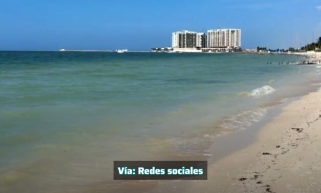 Indicios de que comienza a ceder concentración de marea roja