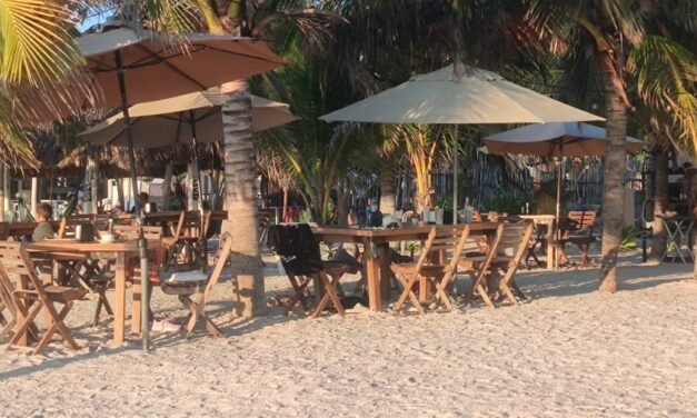 Marea roja, golpe a economía: Llaman restauranteros a evitar pánico