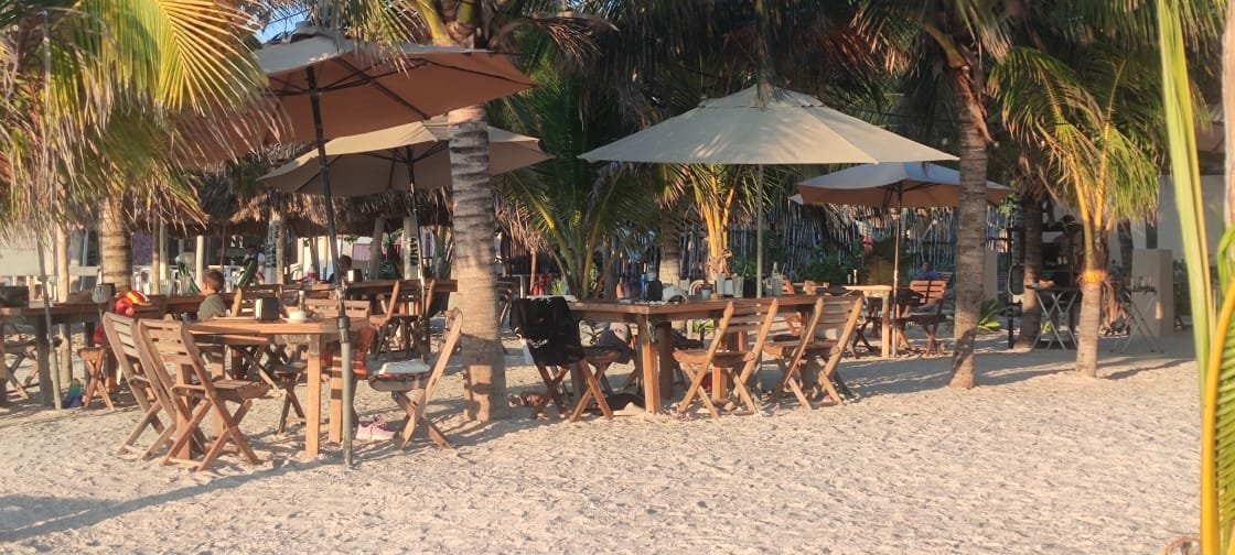 Marea roja, golpe a economía: Llaman restauranteros a evitar pánico