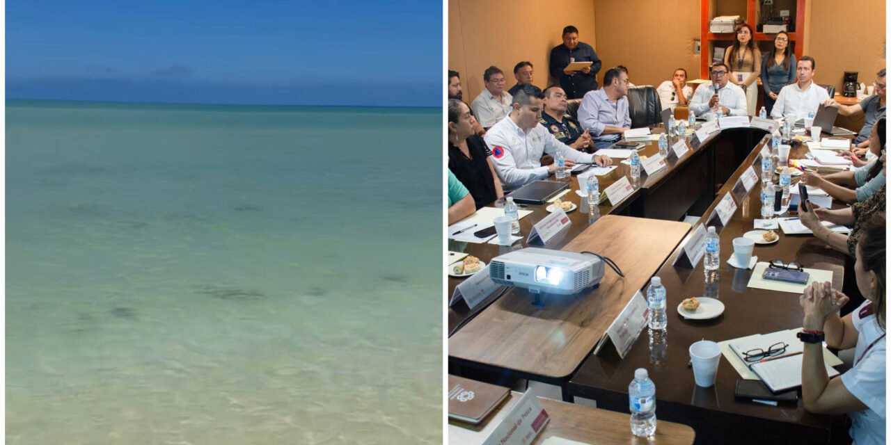 Oficial: empieza a ceder Marea Roja; confinan mancha hasta Celestún