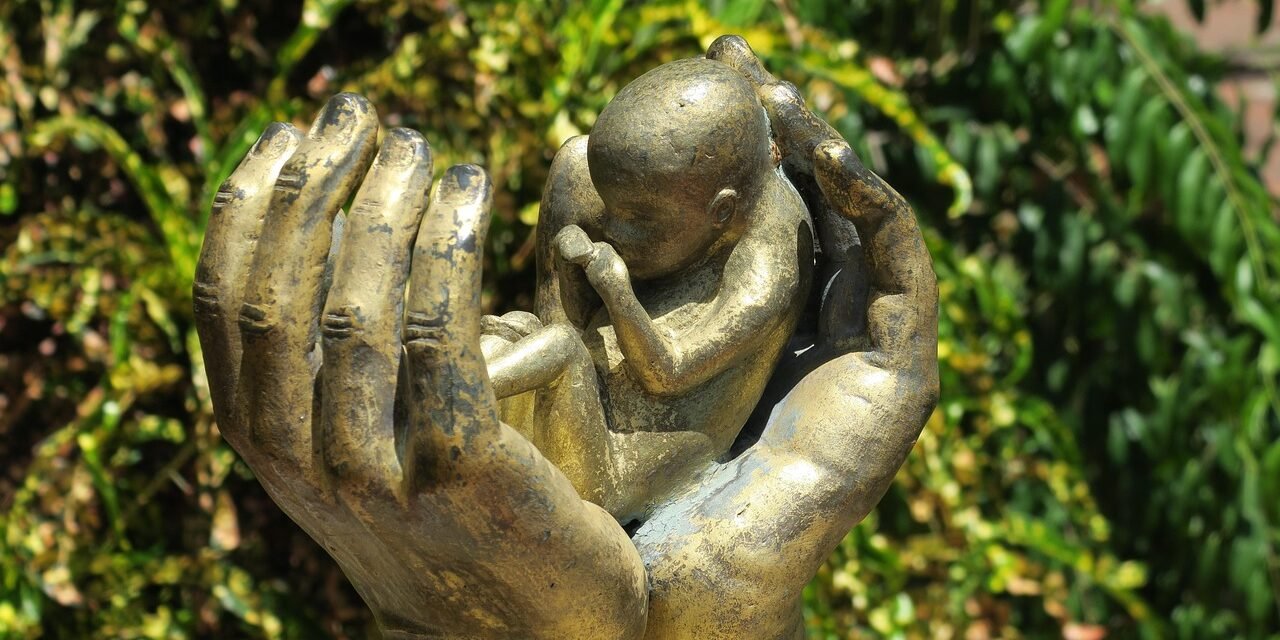 ‘Vidas canceladas’: Pérdidas fetales antes, durante y después del parto