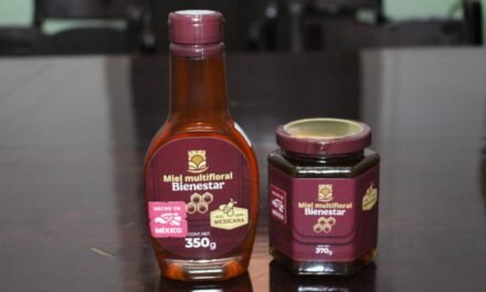 Planta procesadora de miel en Valladolid abriría en noviembre de 2026
