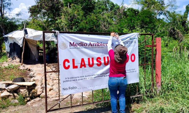 Clausura definitiva a granja porcícola en Santa María Chí