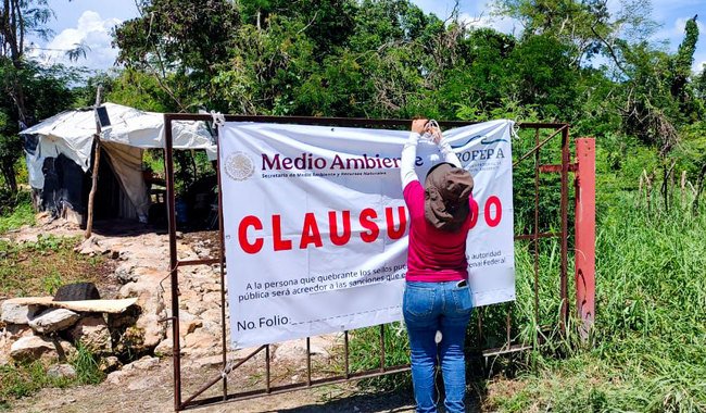 Clausura definitiva a granja porcícola en Santa María Chí