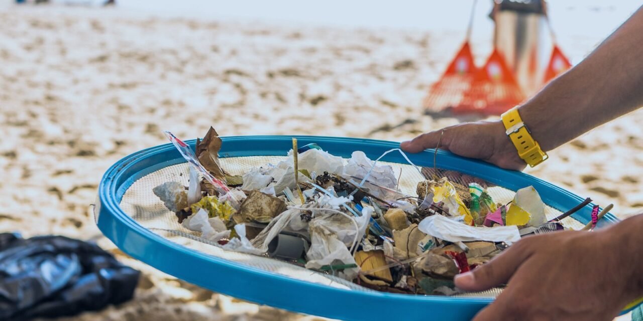 Contaminación por plásticos: daños a fauna marina y humanos