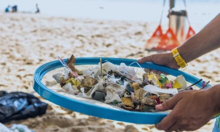 Contaminación por plásticos: daños a fauna marina y humanos
