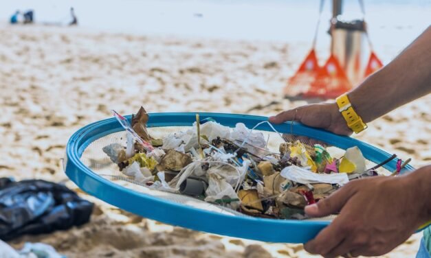 Contaminación por plásticos: daños a fauna marina y humanos