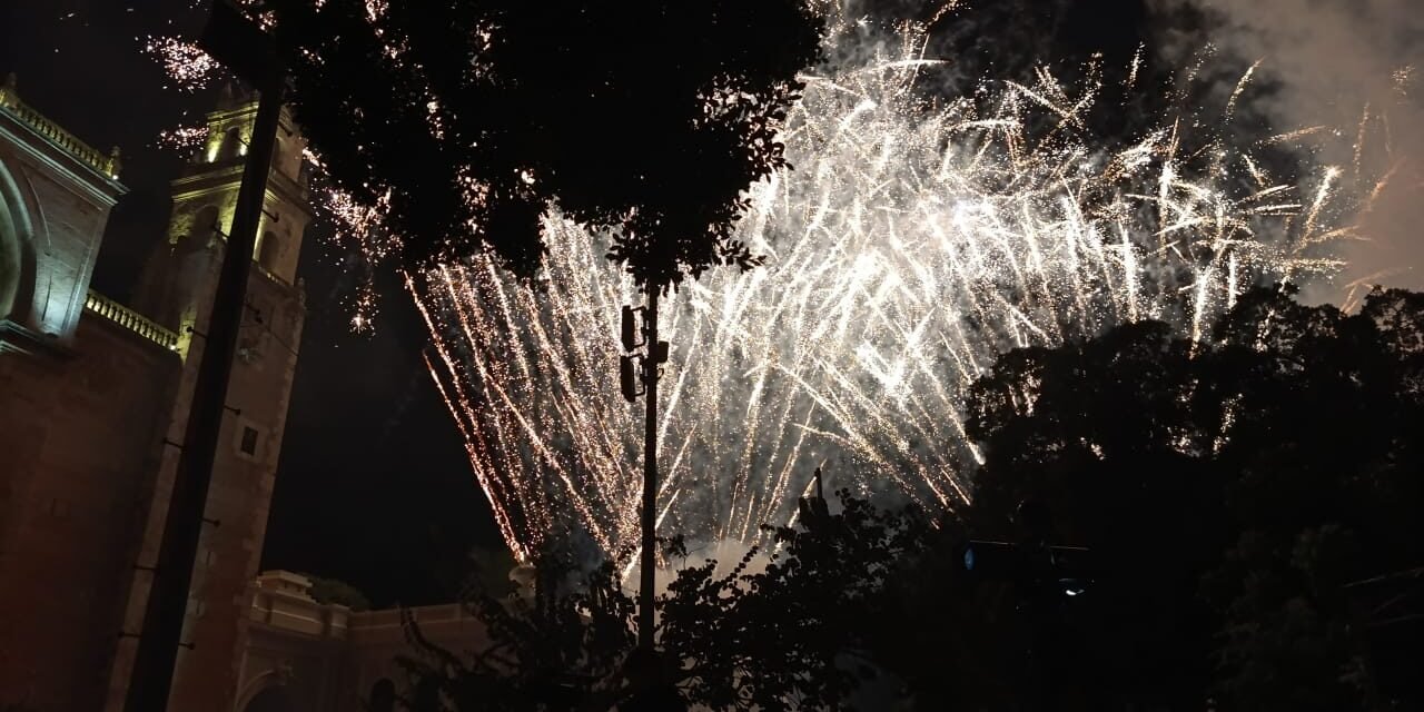 Bombardeo de pirotecnia: efectos en loros y otras aves