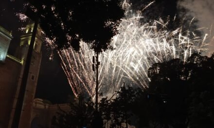 Bombardeo de pirotecnia: efectos en loros y otras aves