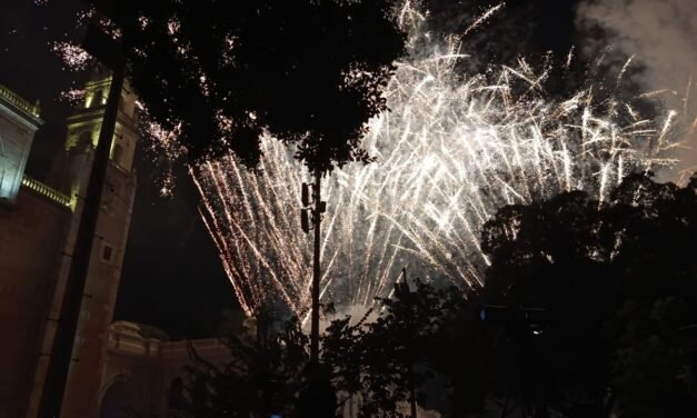 Bombardeo de pirotecnia: efectos en loros y otras aves