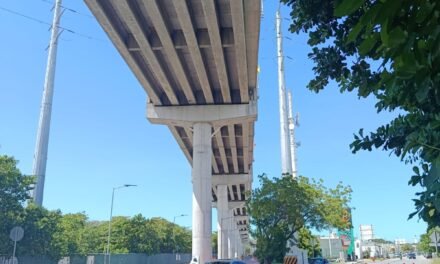 Decidido: habrá cobro para utilizar el viaducto elevado de Progreso