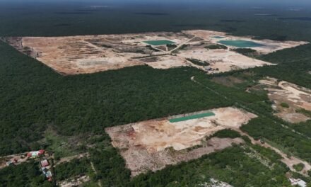 Mayas de Xcucul Sur logran suspensión judicial contra banco de material