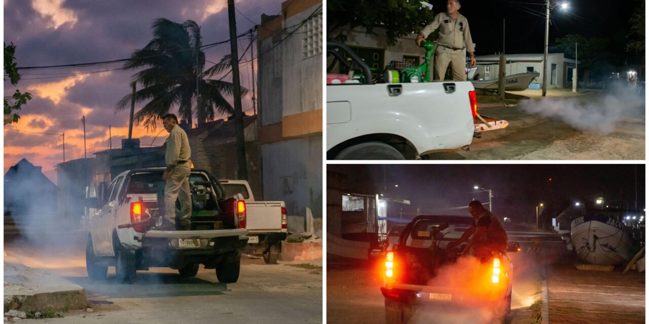 Invasión de ‘mosquito de la ciénaga’ por lluvias