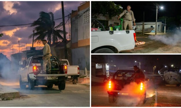 Invasión de ‘mosquito de la ciénaga’ por lluvias