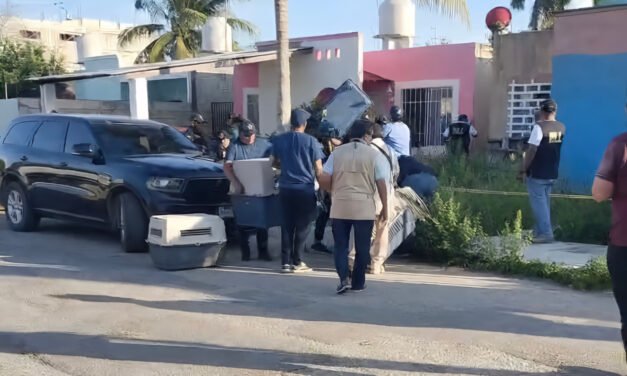 Rescatados nueve perritos abandonados en casa de Ciudad Caucel