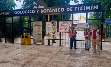 Retiran de zoológico ‘La Reina’ de Tizimín 95 animales