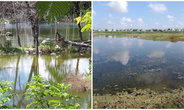 ¿Cómo va el acuífero de Yucatán a cinco años del rebose?