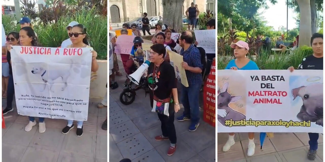 Justicia para ‘Sicilia’ y protesta por violencia contra animales