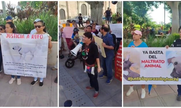 Justicia para ‘Sicilia’ y protesta por violencia contra animales